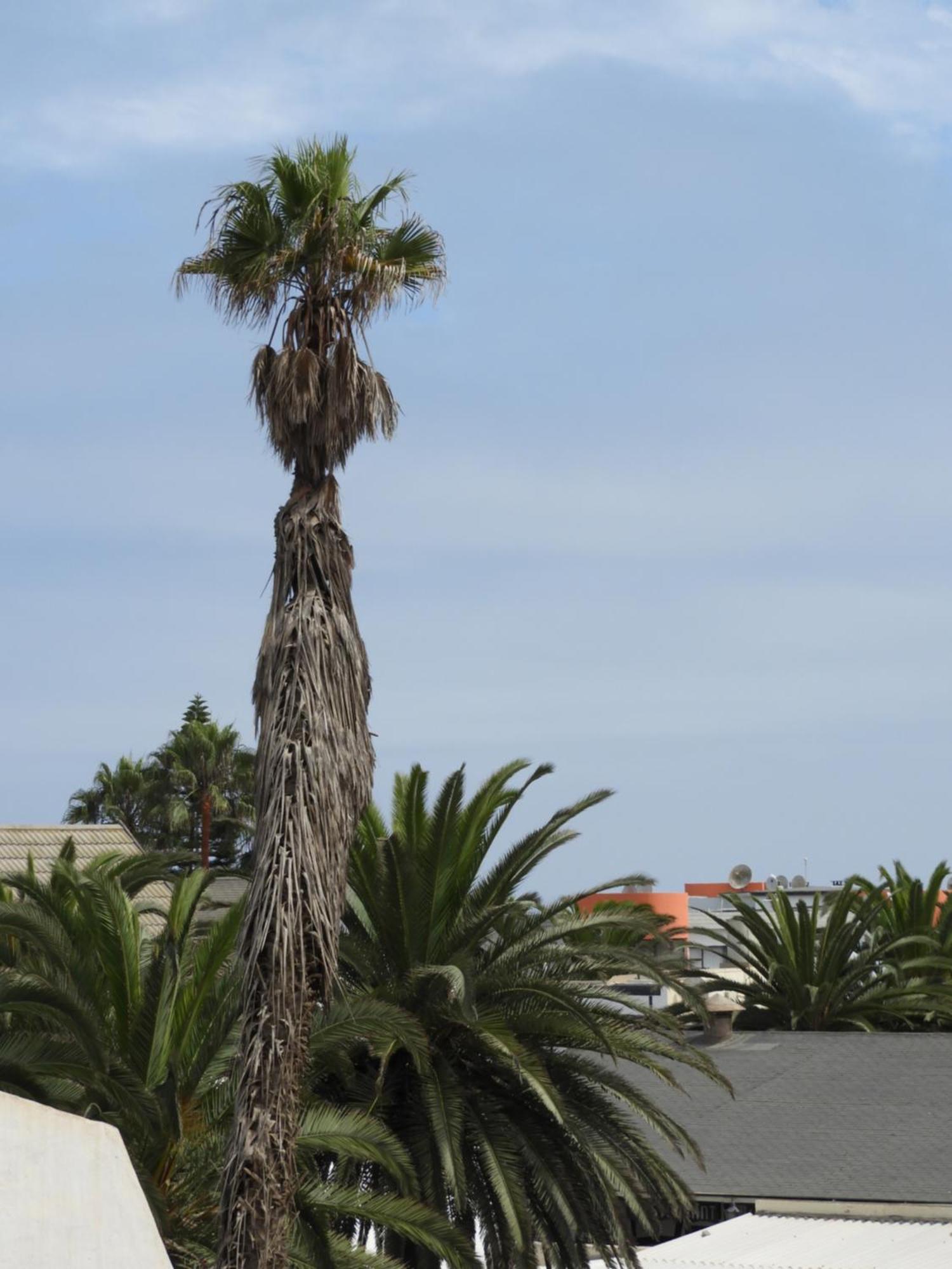 Central Self Catering Swakopmund Exteriér fotografie